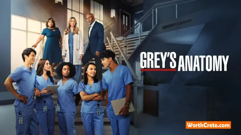 Greys Anatomy
