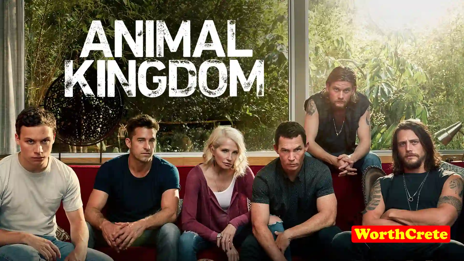 Animal Kingdom Tv Series Online English